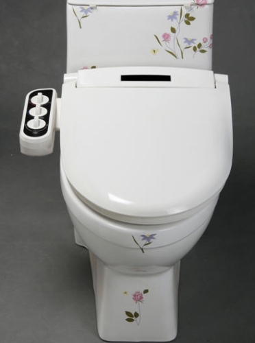 Color-bid Bidé funkciós wc ülőke