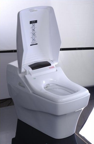 Design toilet komplett wc berendezés öblítővel és elektromos bidével ellátva