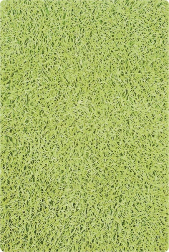 Sapho RIDDER Bob 60x90 cm fürdőszobai kilépő csúszásmentes betéttel zöld (733305)