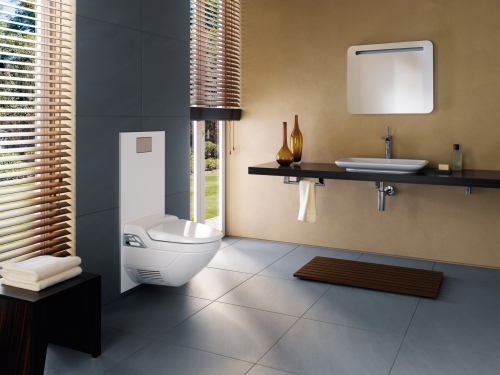 Geberit AquaClean 8000plus fali WC-csészével 180.100.11.2