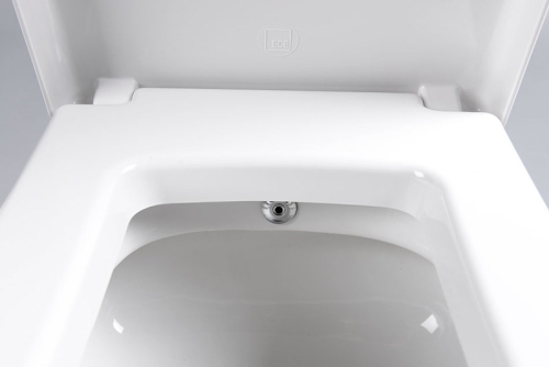 Sapho PURITY fali WC bidet zuhannyal 35x55,5cm (10PL02001-DL)