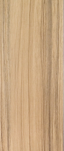 Sapho 5SIDE SQUARE zuhanypanel 250x1550mm, szögletes, Kókusz (80222)