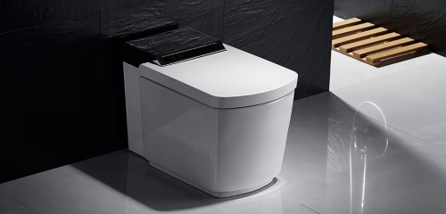 Wellis Luxor okos wc WF00007