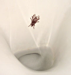 Duravit Fizz hátsó vízbekötésű piszoár (tető nélkül) légymatricával 0823350007