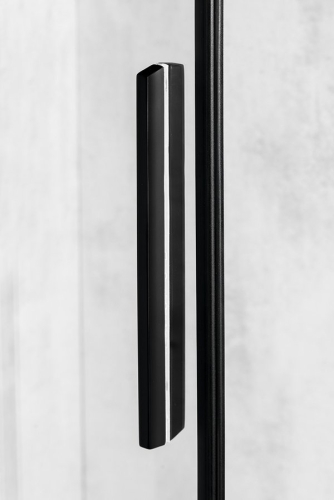 POLYSAN ALTIS LINE zuhanyajtó, 1500mm, matt fekete AL4212B