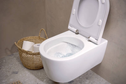 Hansgrohe EluPura S SoftClose WC ülőke, fehér 60197450